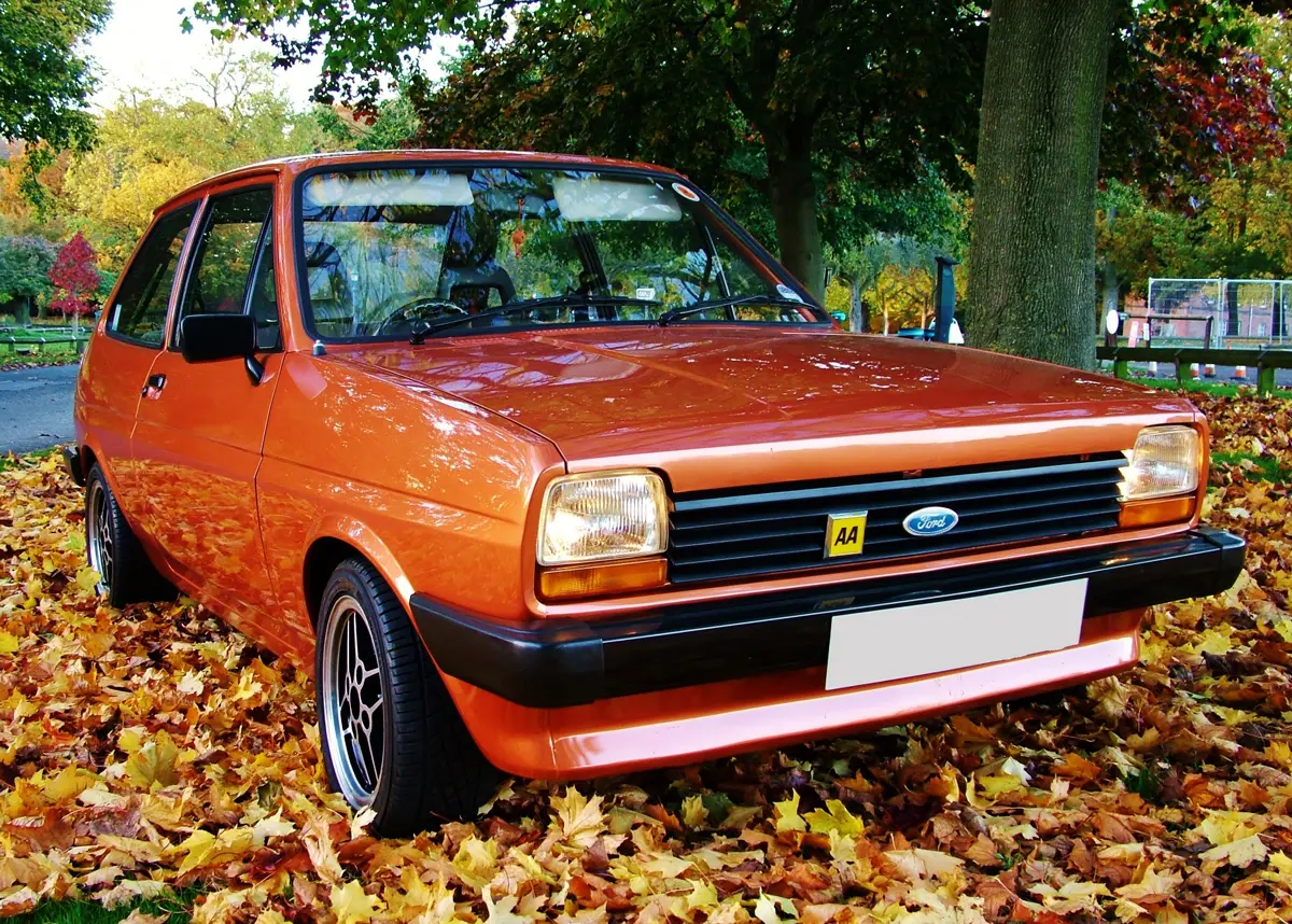 A brown Ford Fiesta parked on a pile of fallen brown leaves