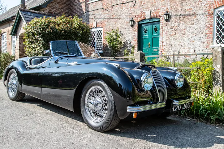 Classic Jaguar