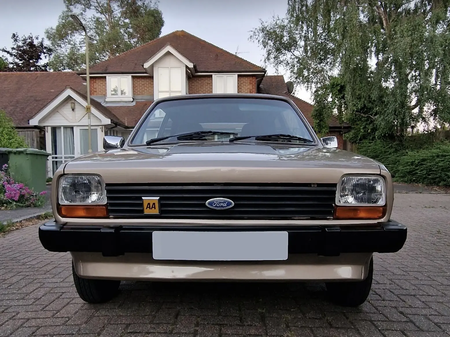 Brown car