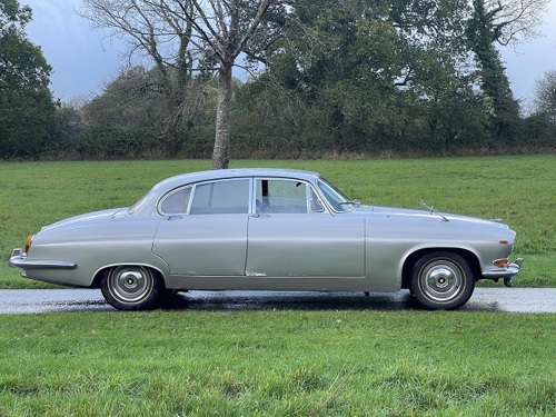 Jaguar Side View