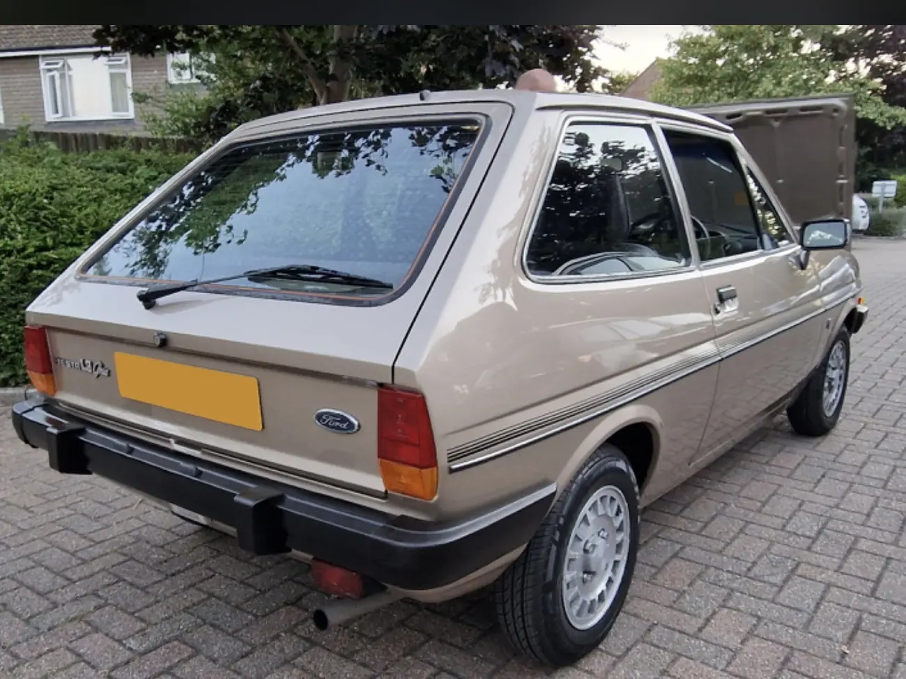 Brown car rear
