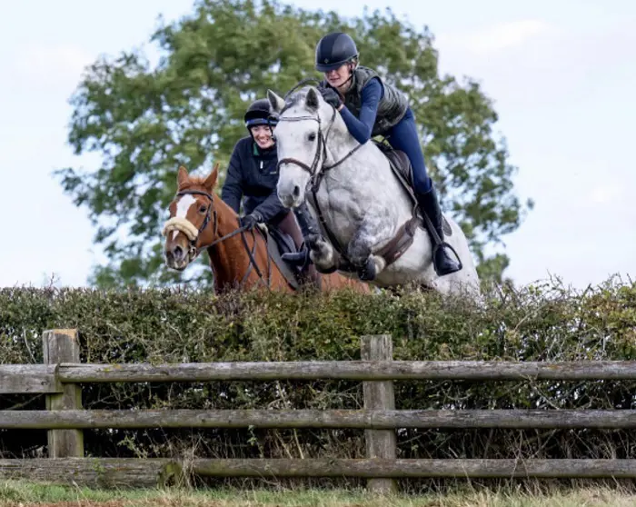 Horse jumping