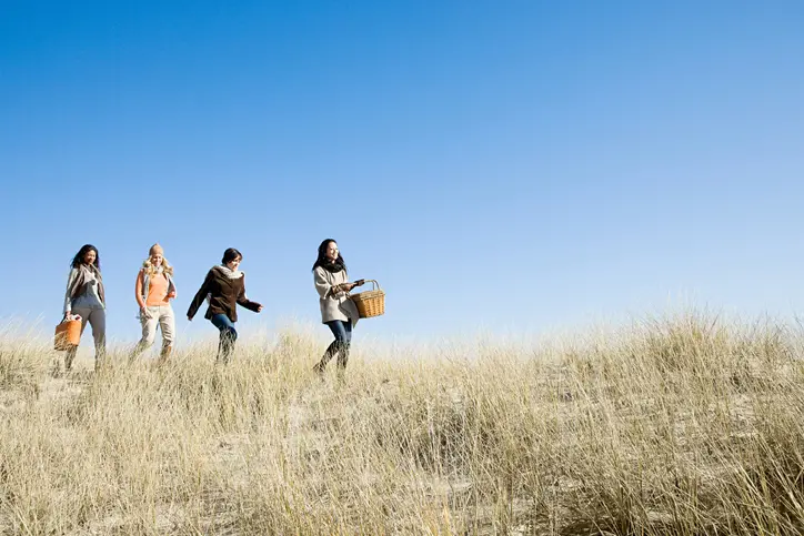 Picnic walk