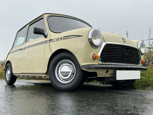 Yellow mini