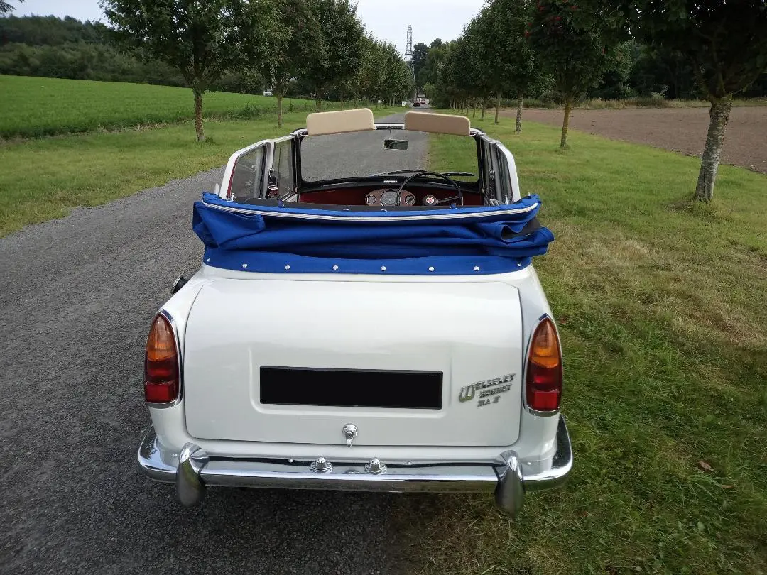 White car rear