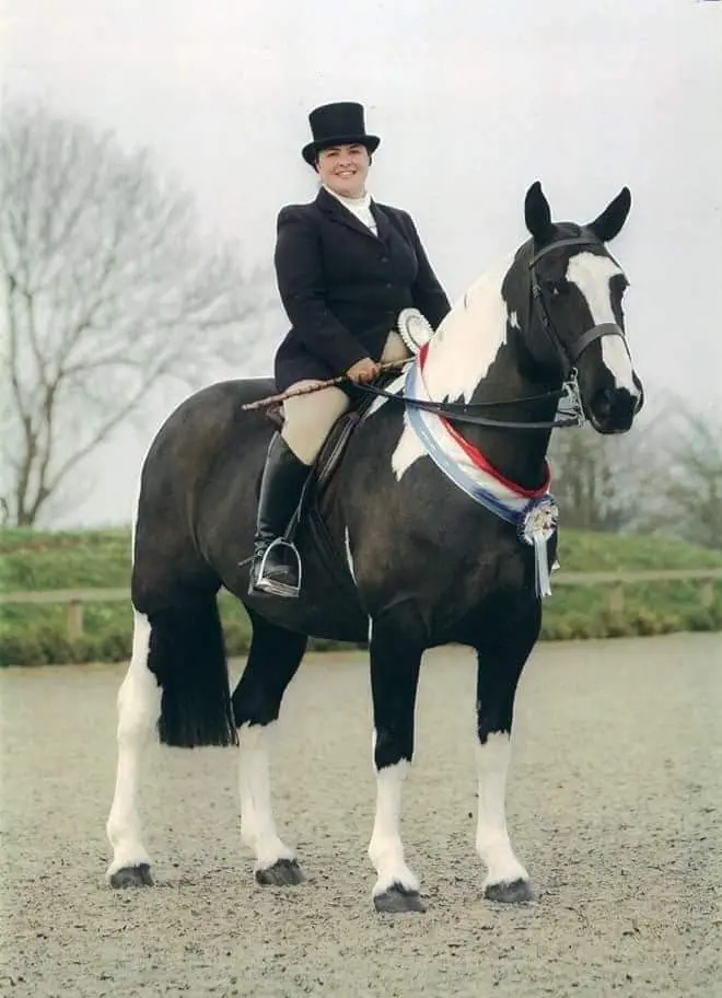 Horse rider