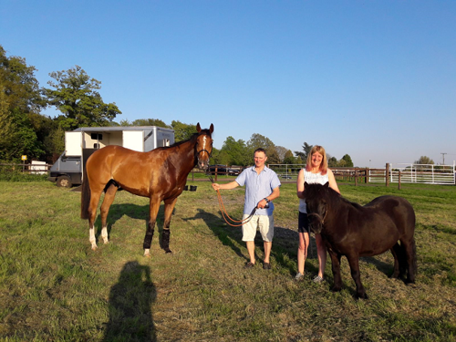 Horses and people